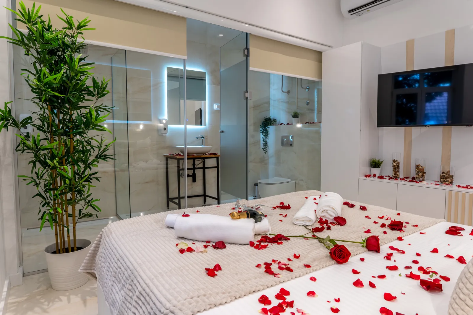 Deluxe King Suite - 1