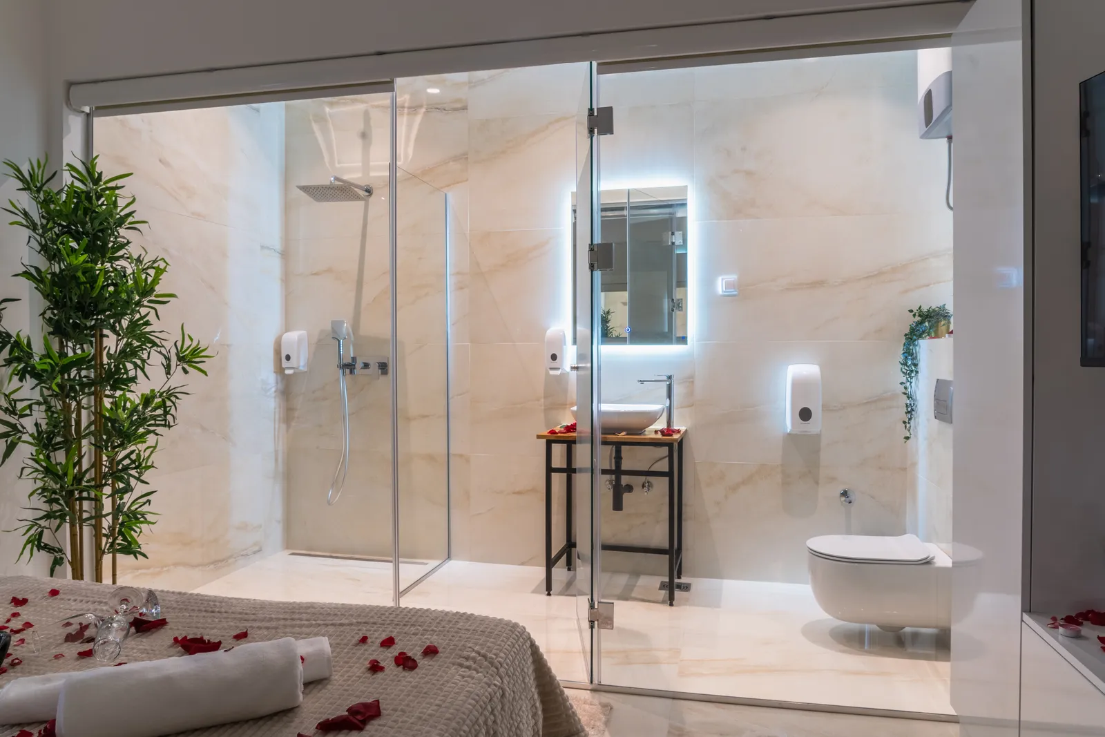 Deluxe King Suite - 2